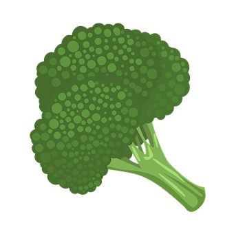 A Green Broccoli On A Black Background