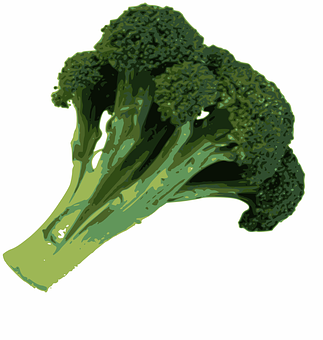 A Close Up Of A Broccoli