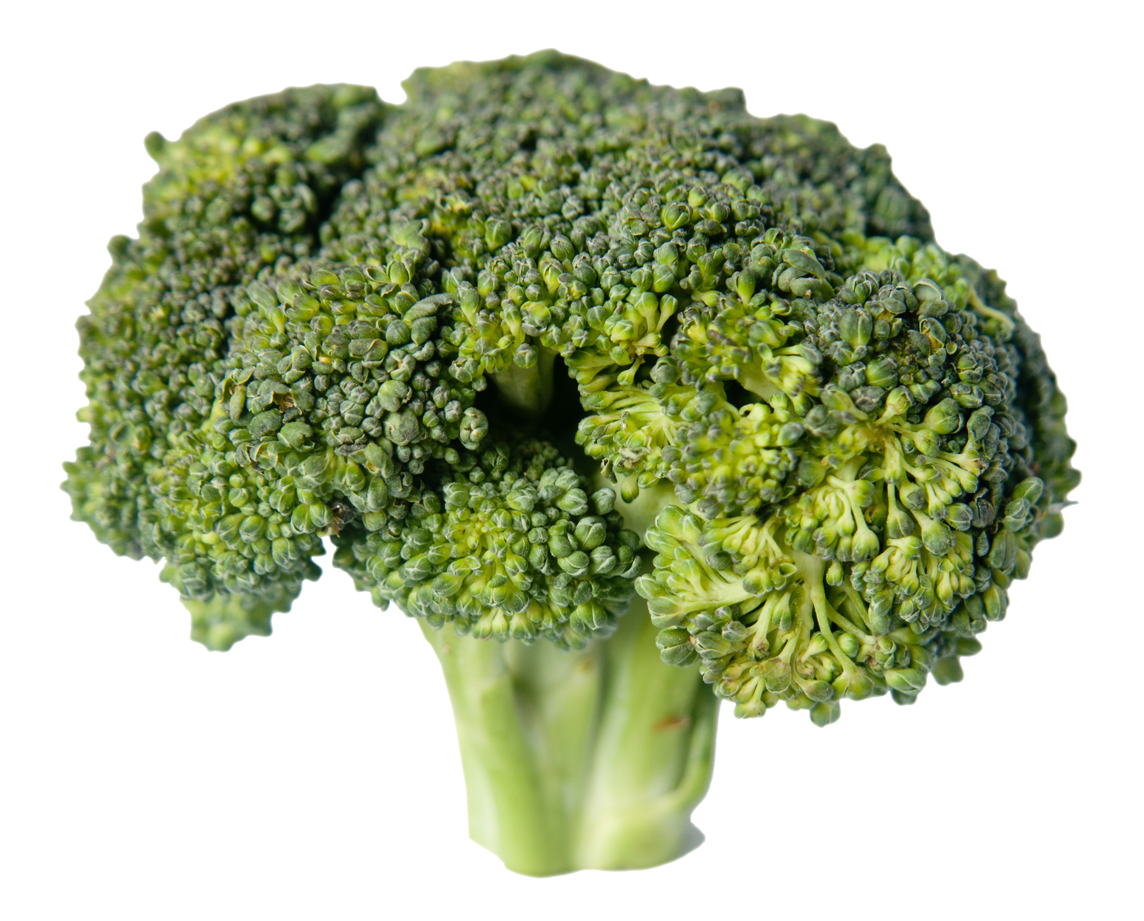 A Close Up Of A Broccoli Head
