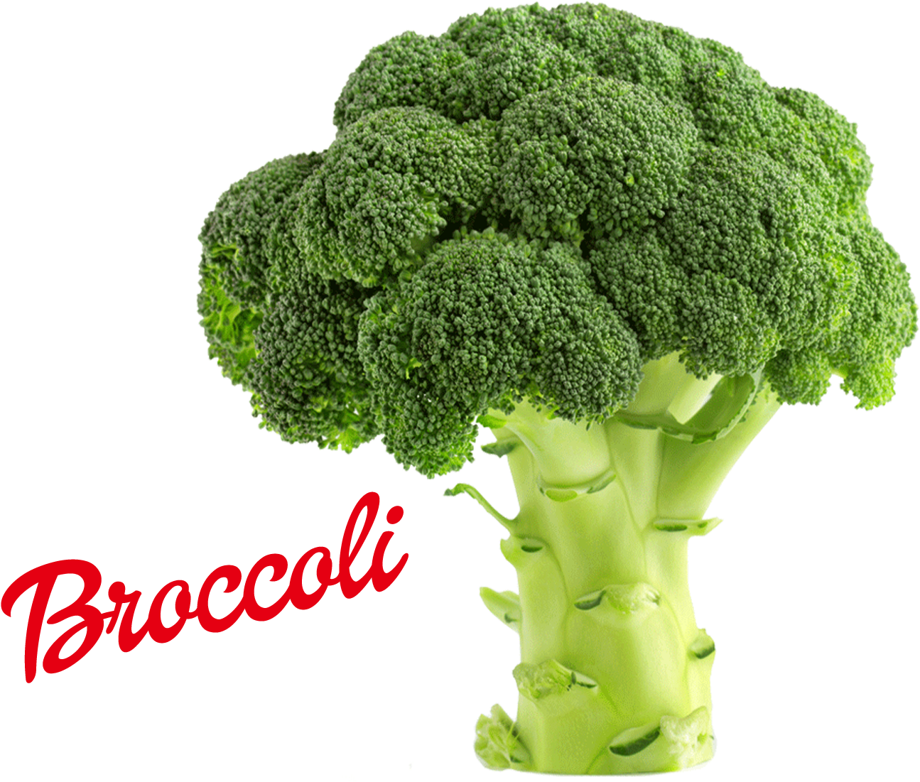 A Green Broccoli With A Black Background