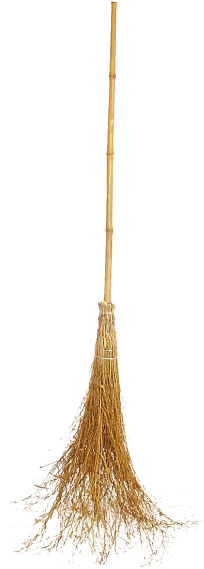 Broom Png 410 X 1139