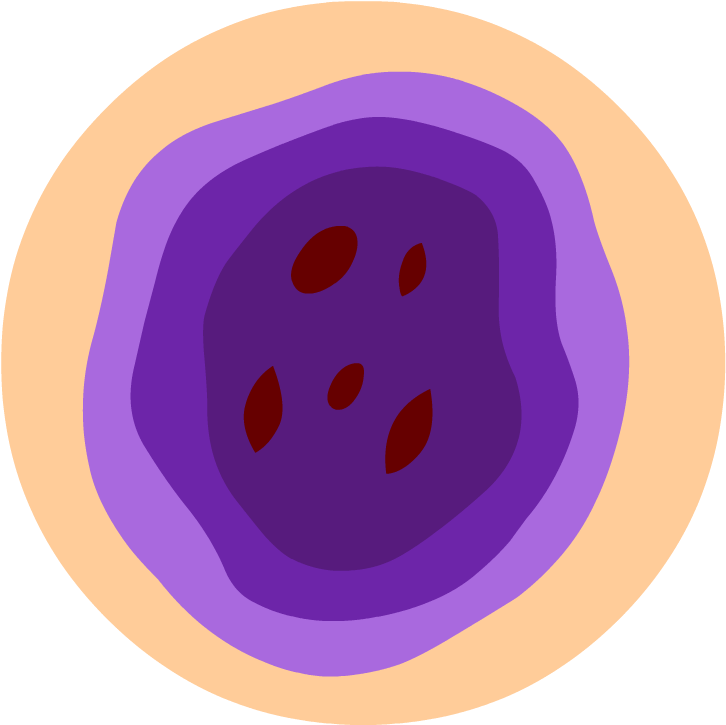 A Purple Circle With Brown Spots