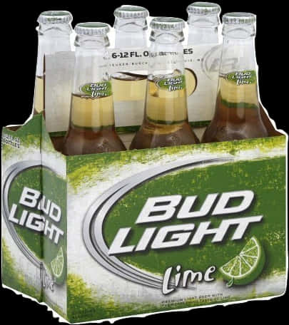 A Six Pack Of Beer Bottles