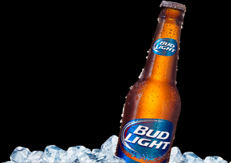 A Bottle Of Beer In Ice