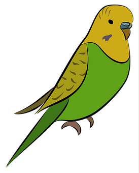 Budgie Png 274 X 340