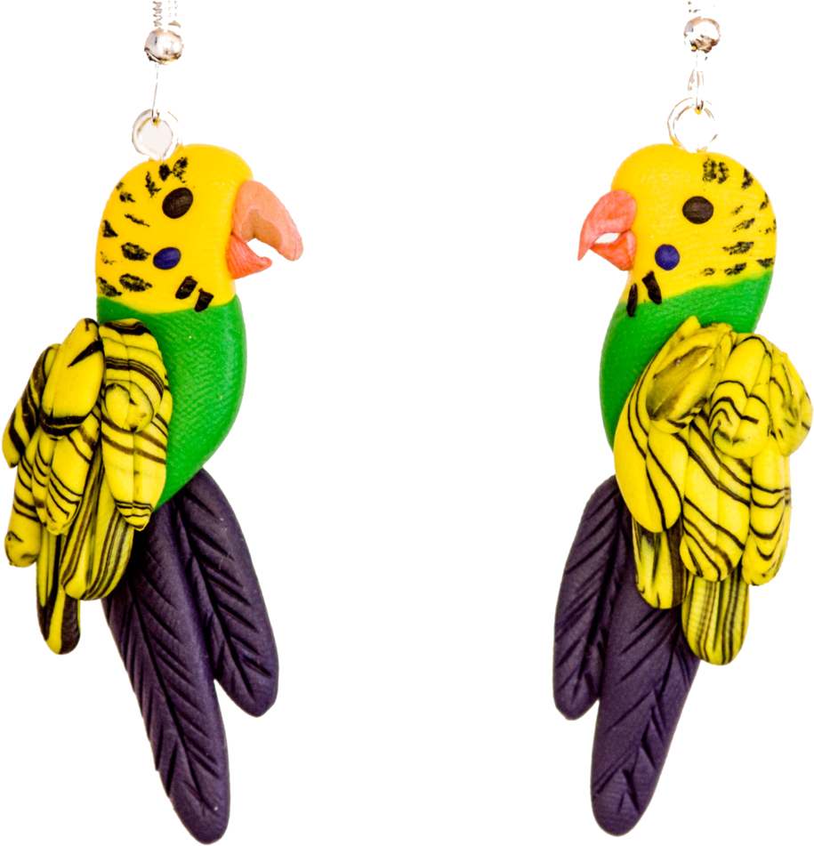 A Pair Of Earrings With A Parrot
