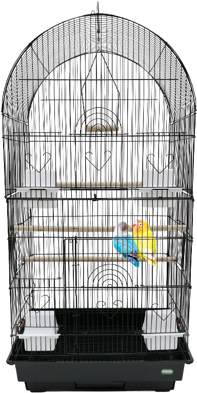 A Couple Of Birds In A Cage