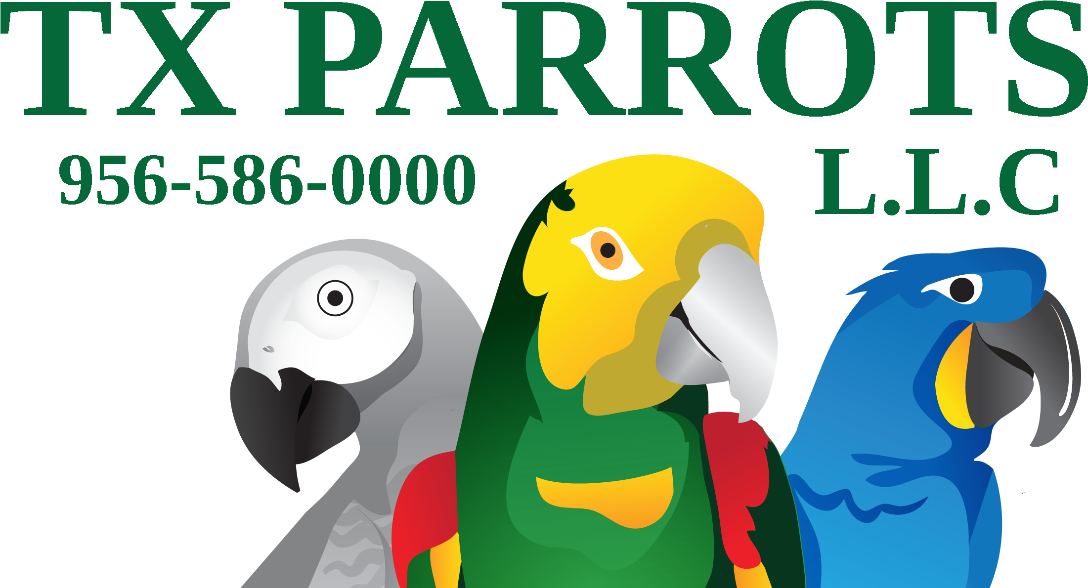 A Parrots On A Black Background