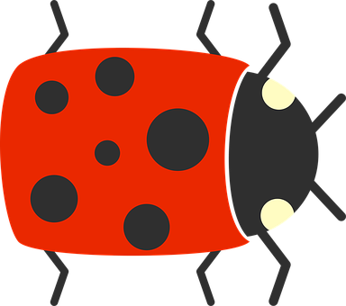 Bug Png 384 X 340