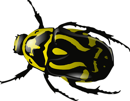 Bug Png 436 X 340