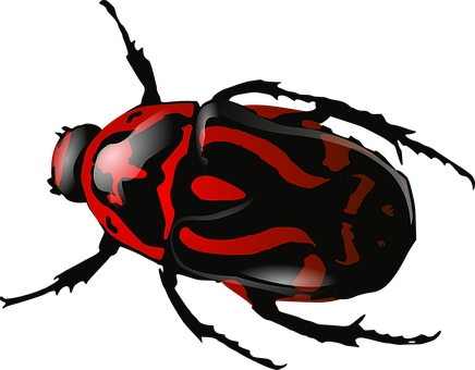 Bug Png 436 X 340