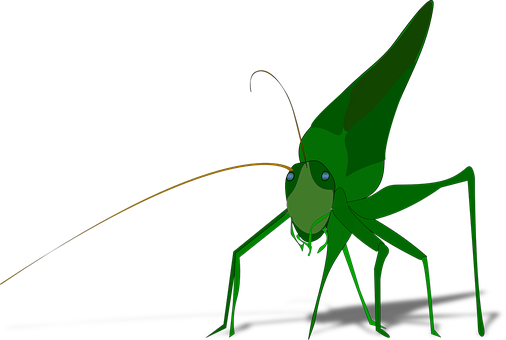 Bug Png 506 X 340