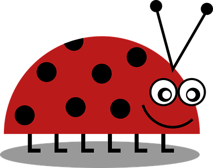 Bug Png 430 X 340