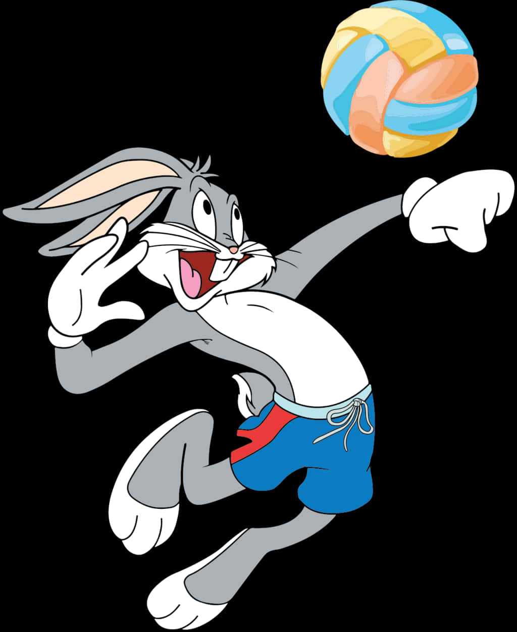 Bugs Bunny And Volleyball