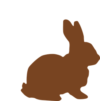 A Brown Rabbit On A Black Background
