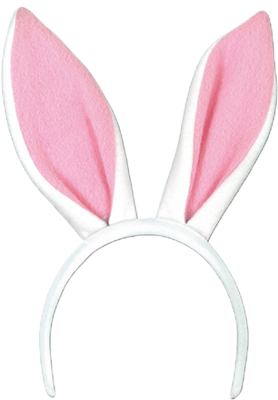 A Headband With Bunny Ears
