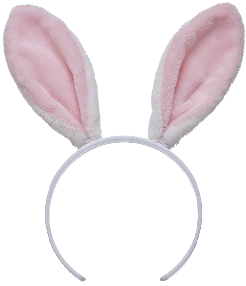 Bunny Ears Png 497 X 577
