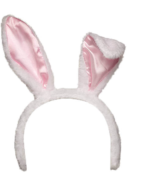 A White Bunny Ears With Pink Ears