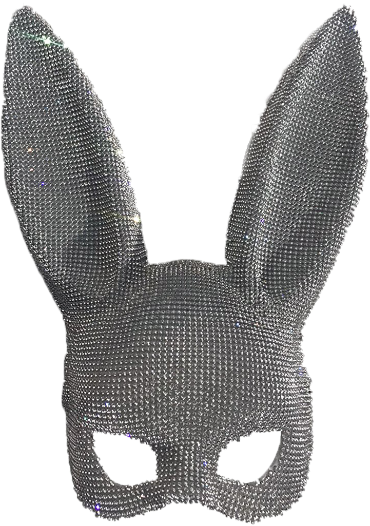 Bunny Ears Png 721 X 1025