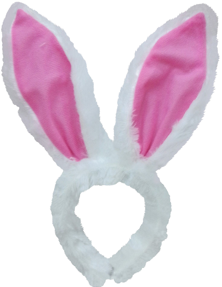 Bunny Ears Png 737 X 953