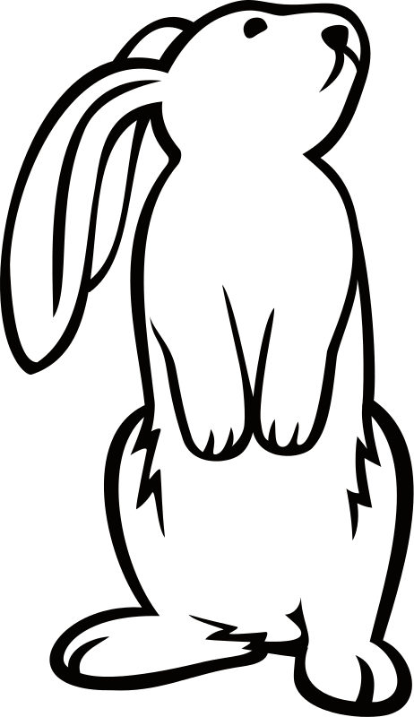 A White Rabbit With Long Ears