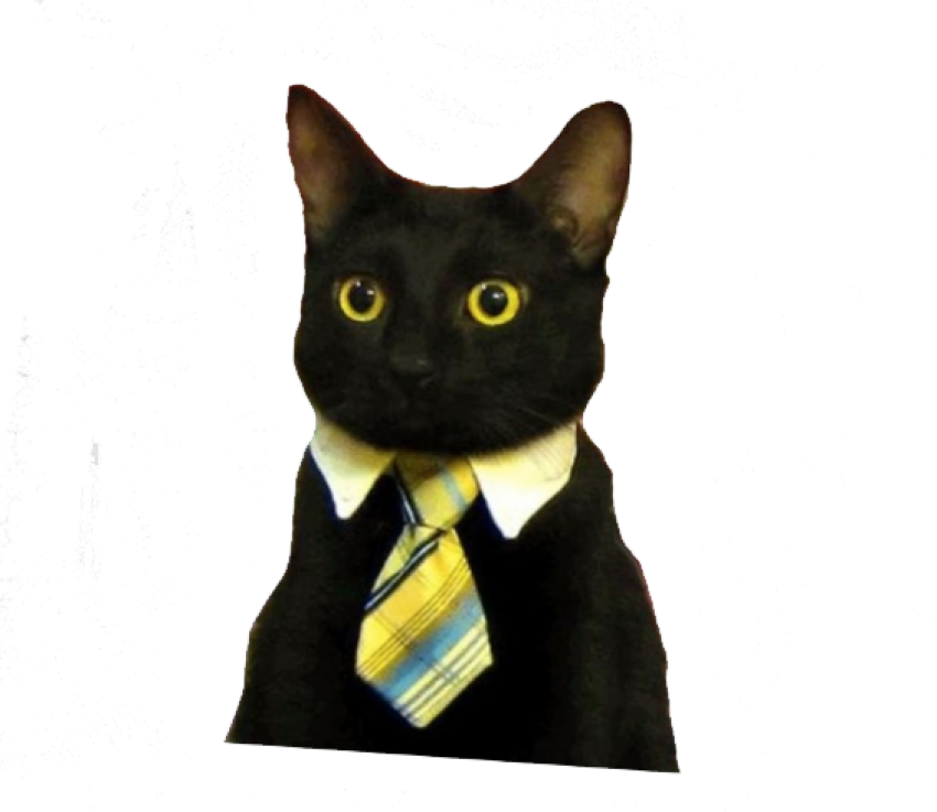 A Cat Wearing A Tie