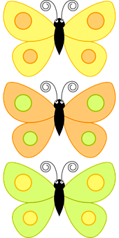 Yellow, Orange, And Green Butterflies