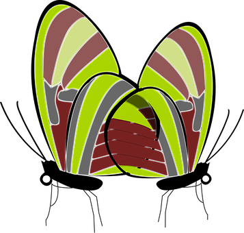 A Green And Red Striped Object