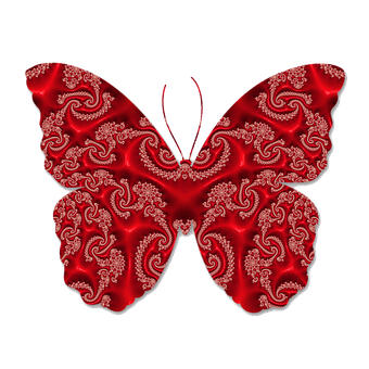 A Red And White Butterfly