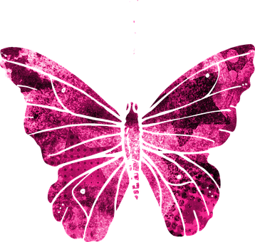 A Pink Butterfly On A Black Background