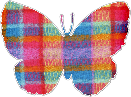 A Colorful Butterfly With White Outline