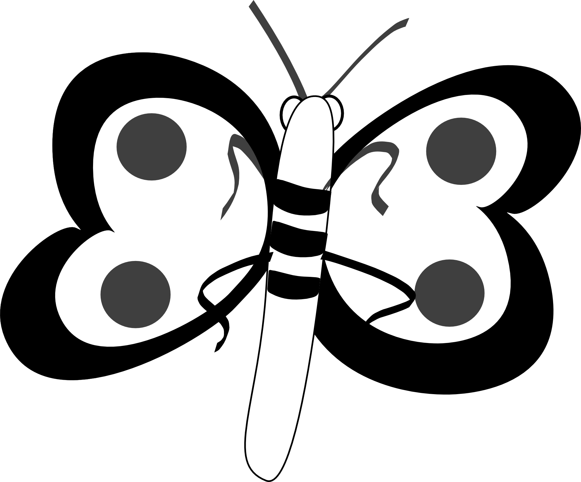 A White And Black Butterfly