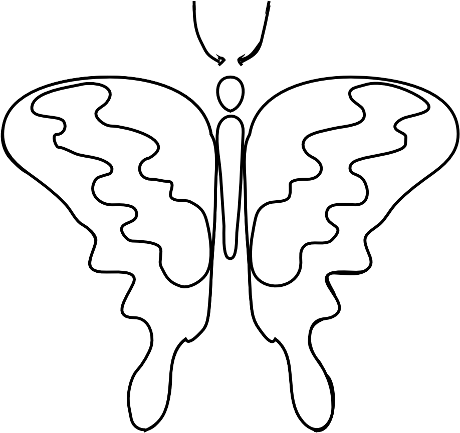A White Butterfly With Black Lines