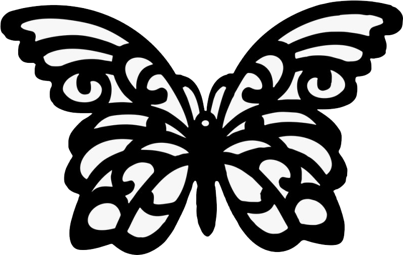 A Black And White Butterfly