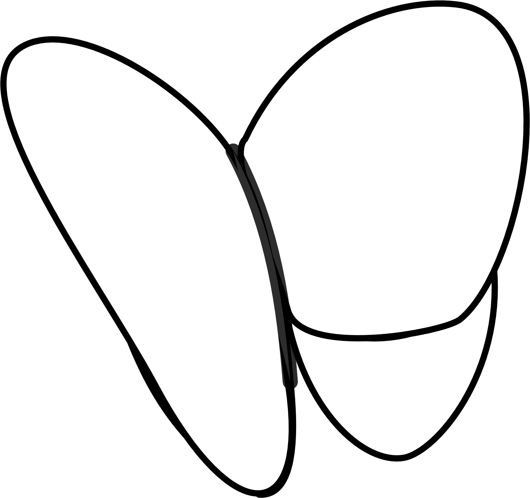 A White Butterfly With Black Outline