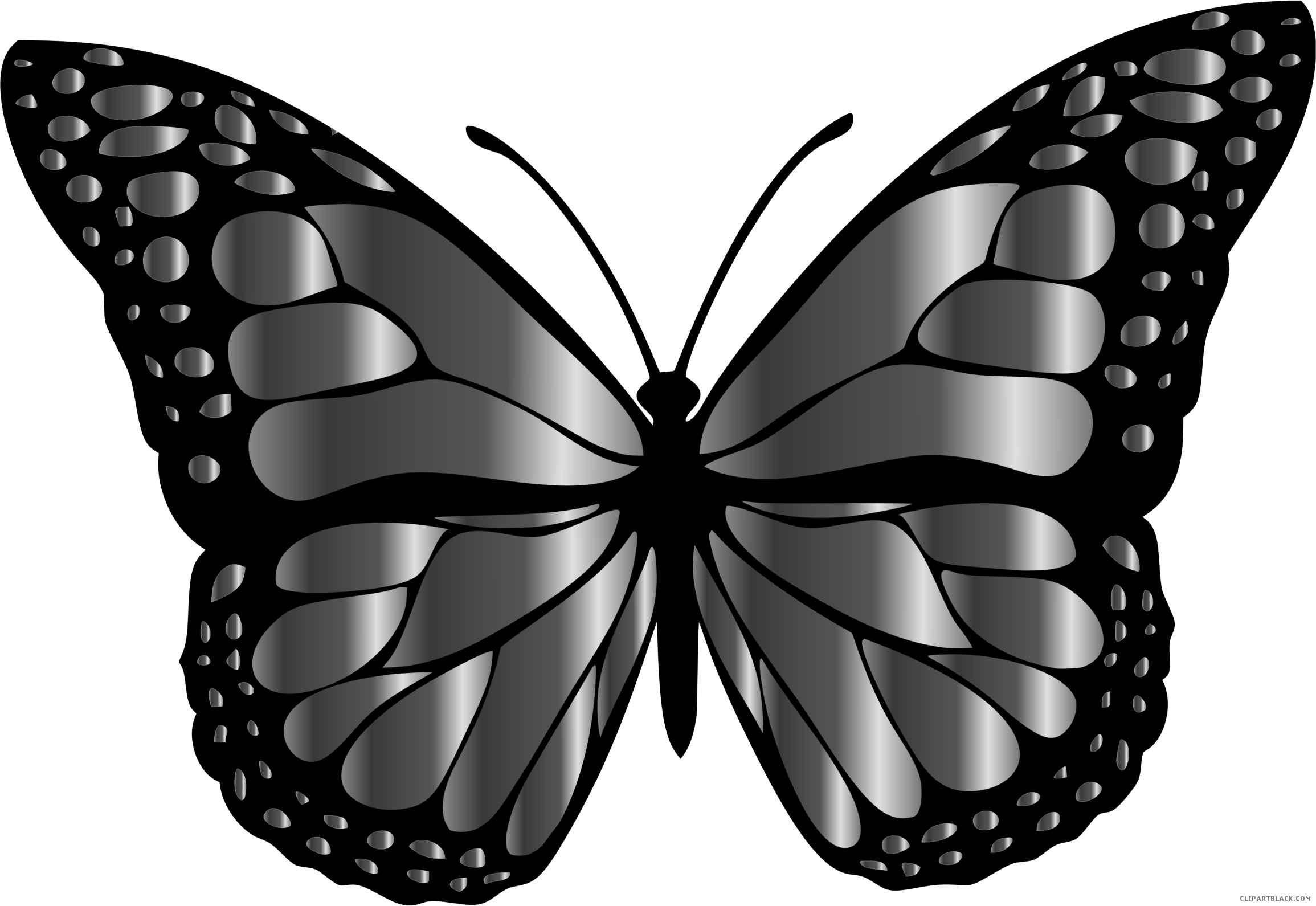 Butterfly Black And White Png 2310 X 1590