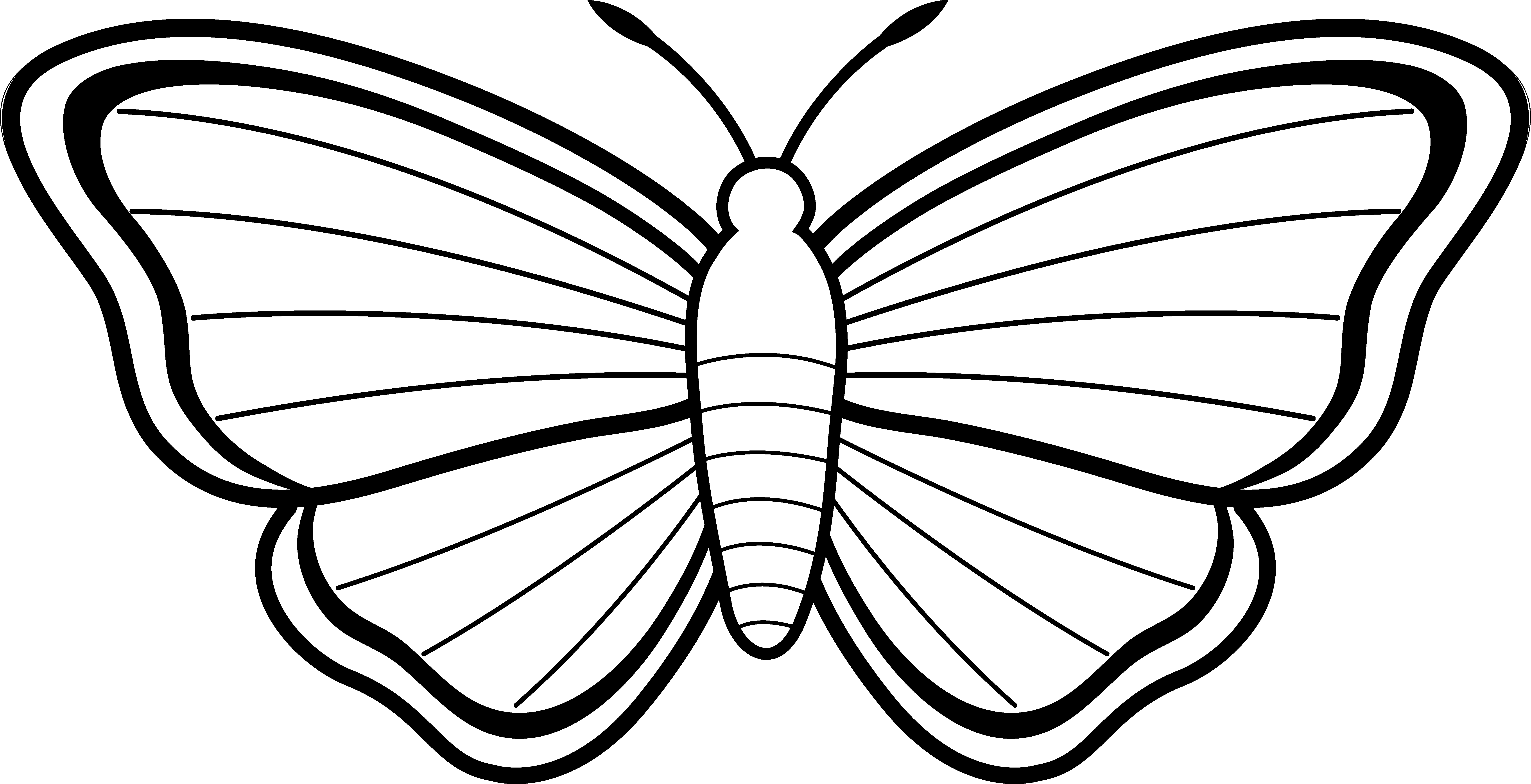 Butterfly Black And White Png 6978 X 3573