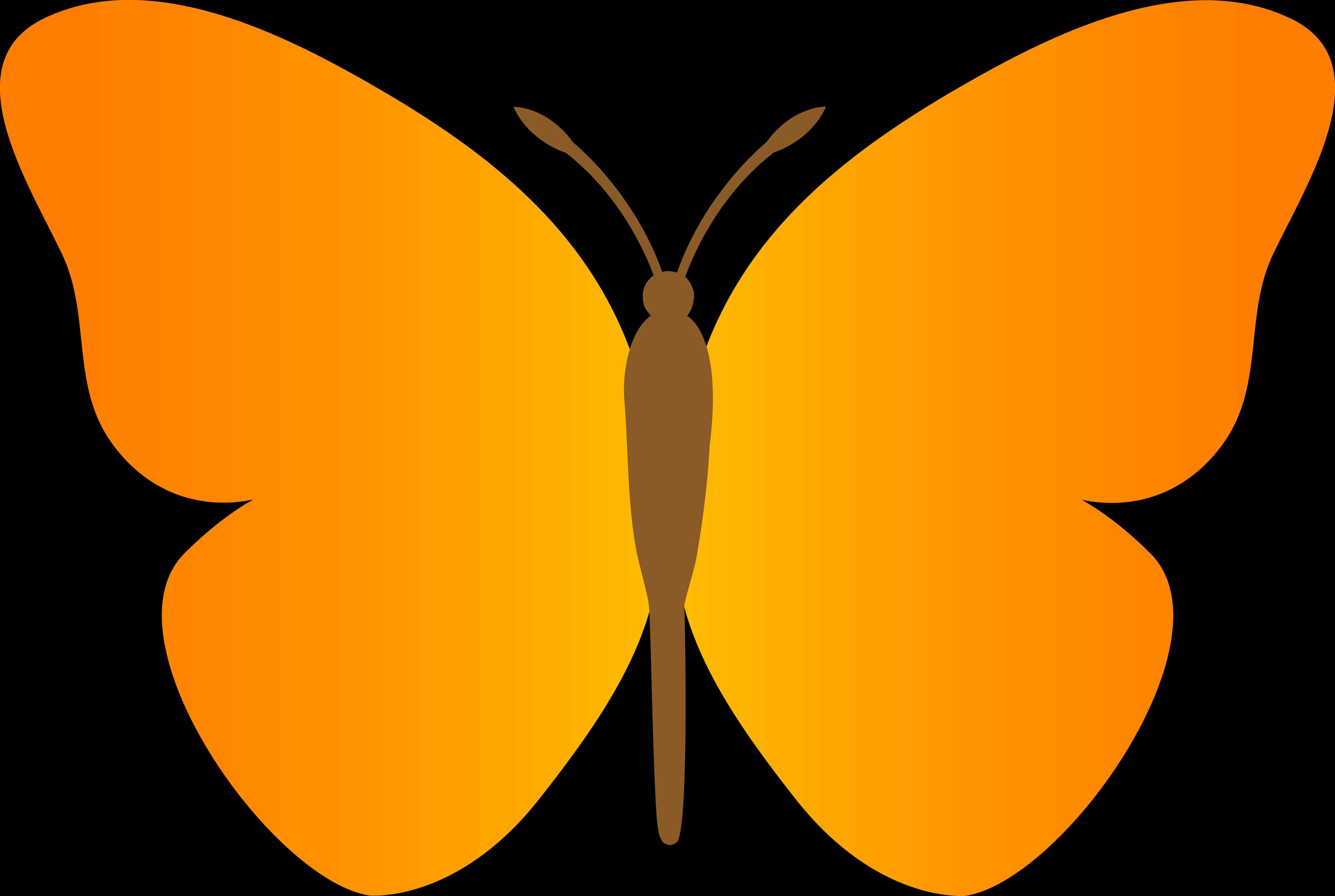 A Butterfly With Yellow Wings
