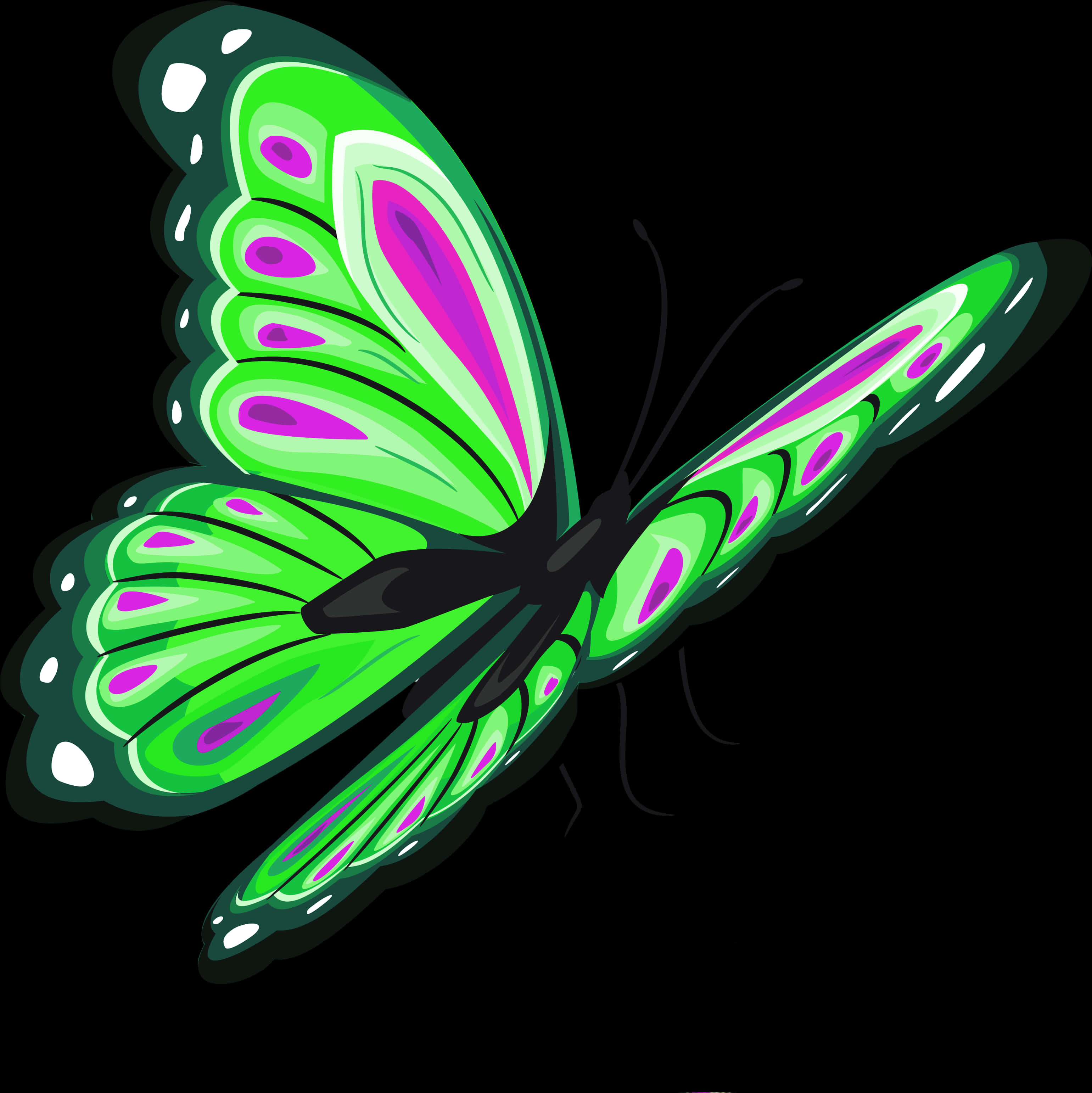 A Green And Purple Butterfly
