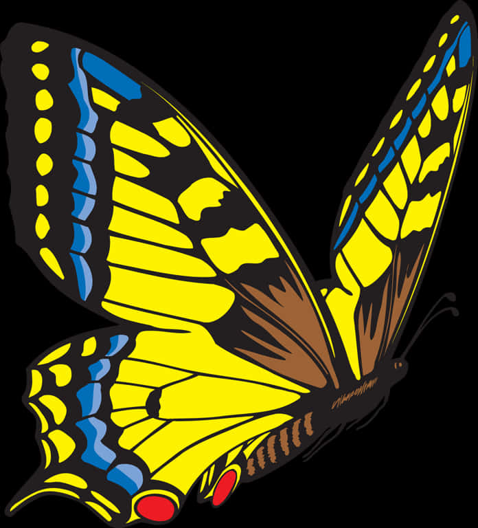 A Yellow And Blue Butterfly