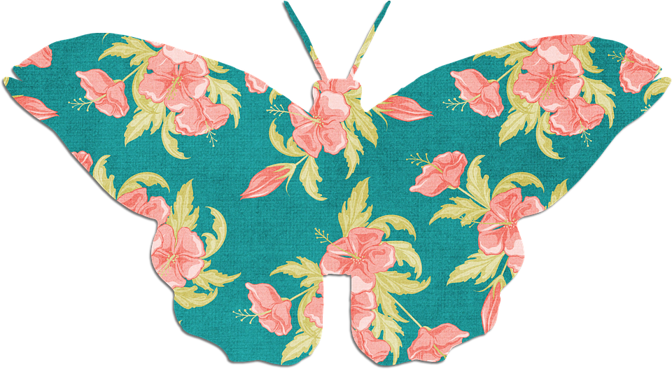 Butterfly Png 960 X 527