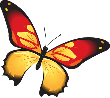 A Butterfly With Yellow And Red Wings