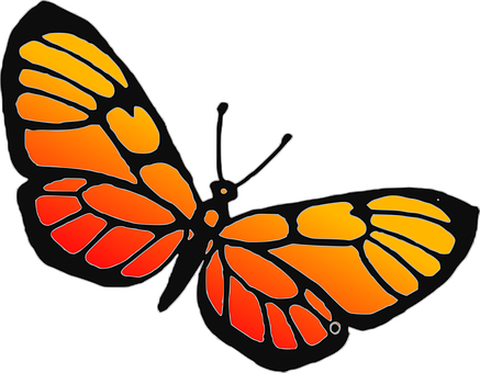A Butterfly With Orange And Black Wings