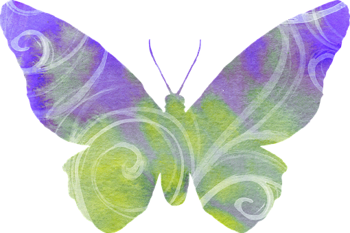 A Butterfly With Purple And Green Wings