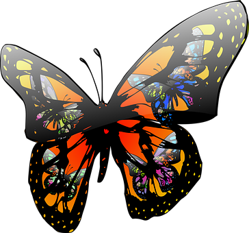 A Butterfly With Colorful Wings