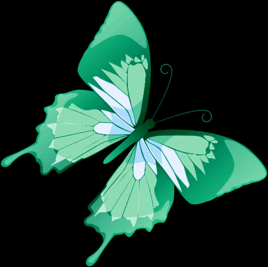 A Green Butterfly With White Wings