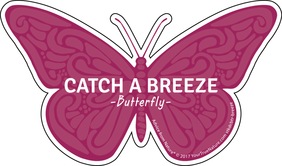 A Pink Butterfly With White Text