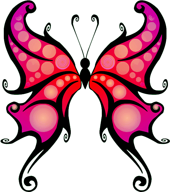 A Butterfly With Pink And Black Wings