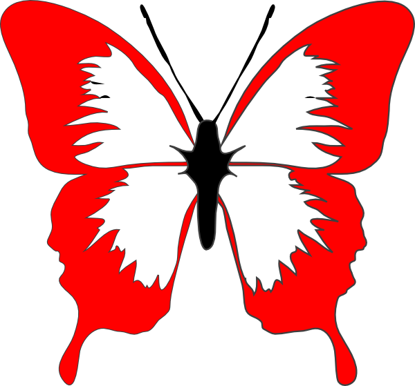 Butterfly Outline Png 600 X 559
