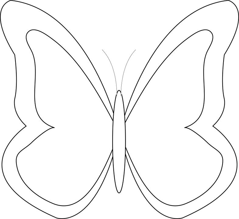 Butterfly Outline Png 786 X 720